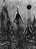 Lithograph print - "Lotus" by Aaron Jones
